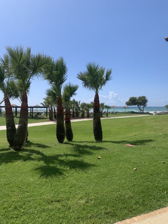 Gartenanlage ROBINSON CYPRUS
