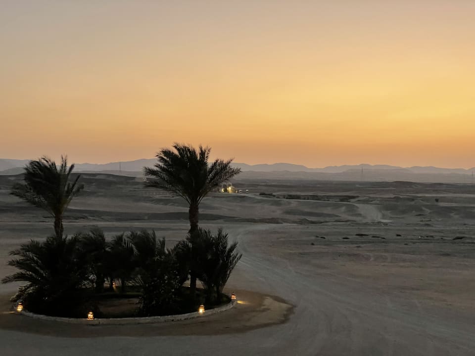 Ausblick The Oasis Dive Resort