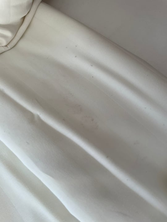 Zimmer Mercure Leonardo da Vinci Airport