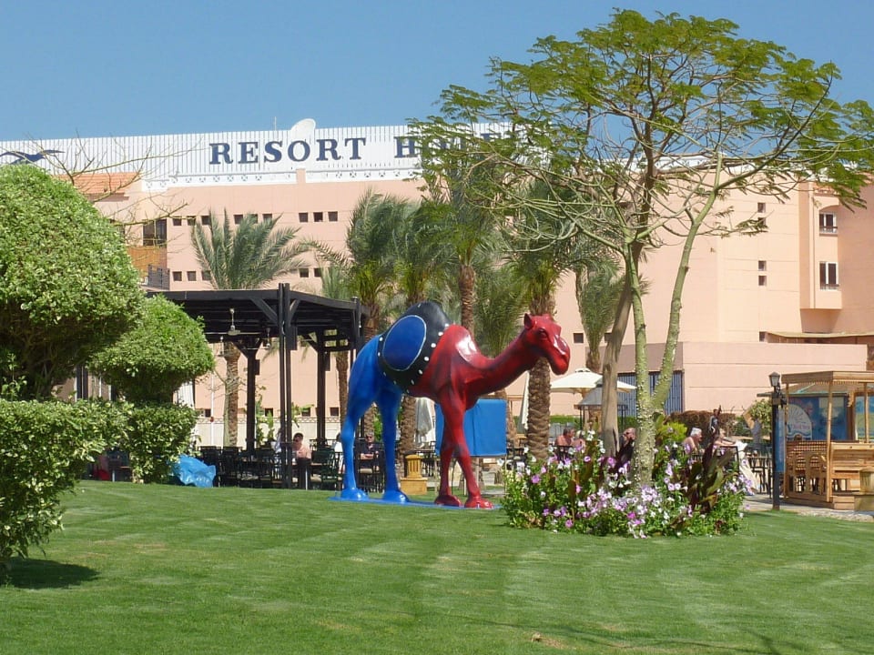 Alles Top Pickalbatros Palace Resort