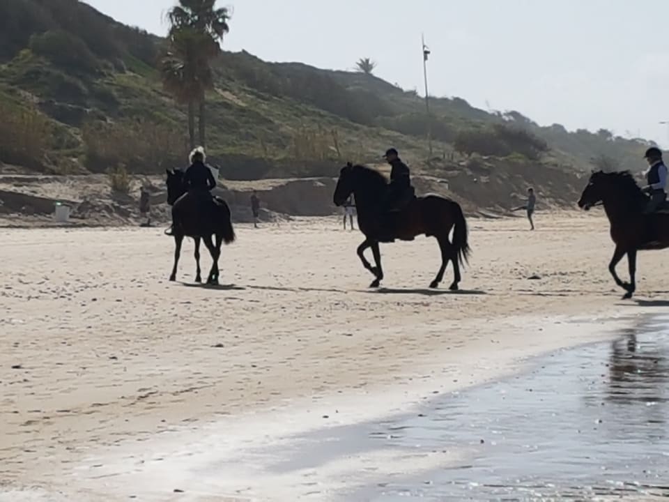 Sport & Freizeit Picadero Fuente del Gallo