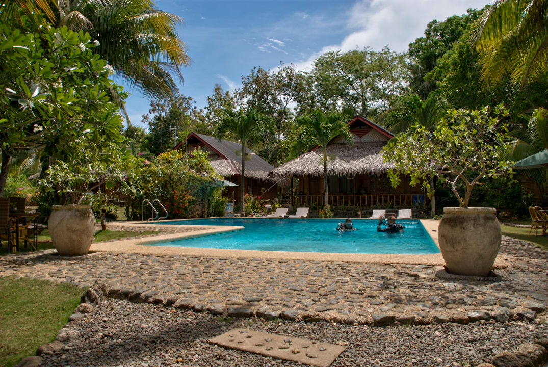 Pool Oasis Beach and Dive Resort