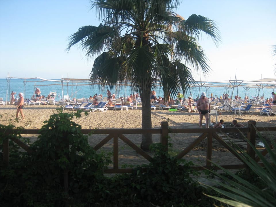Blick auf den Strand Mira Meridia Beach Hotel