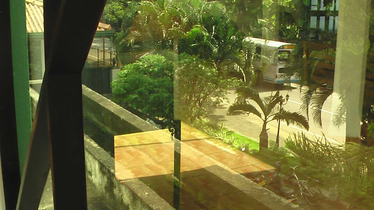 Aussicht vom TV Raum  Water Lily