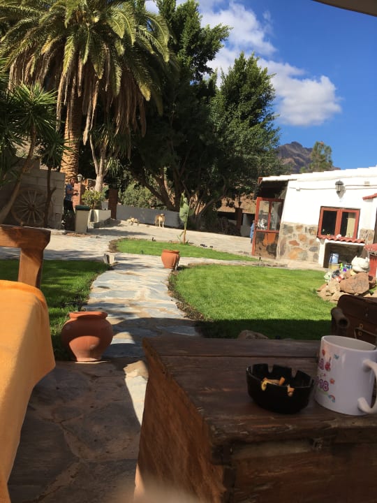 Gartenanlage Bio Finca - Las Tenerías