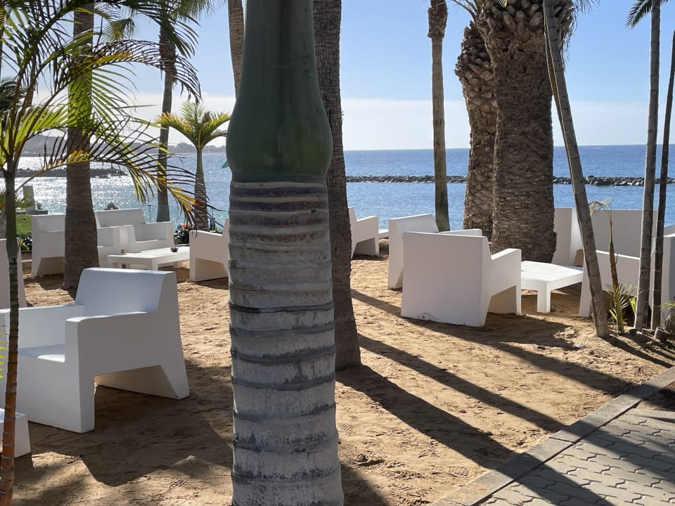 Gartenanlage Hotel Riu Palace Tenerife