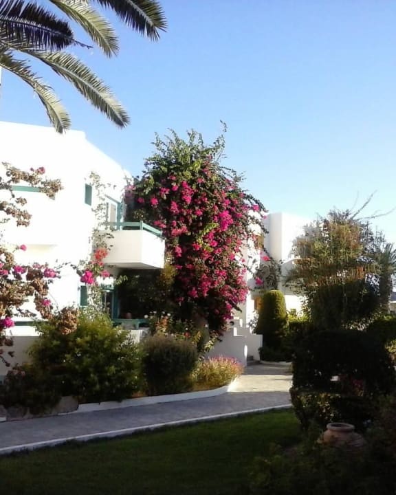 Anlage Mastichari Bay Hotel
