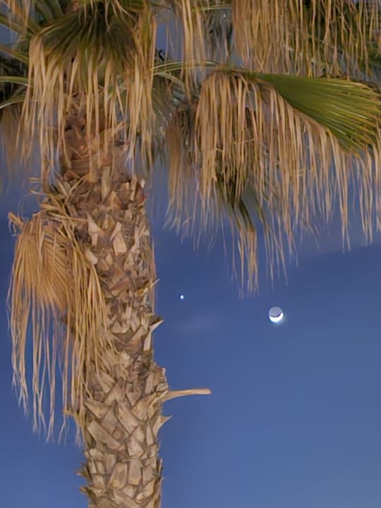 Ausblick Sherwood Dreams Resort