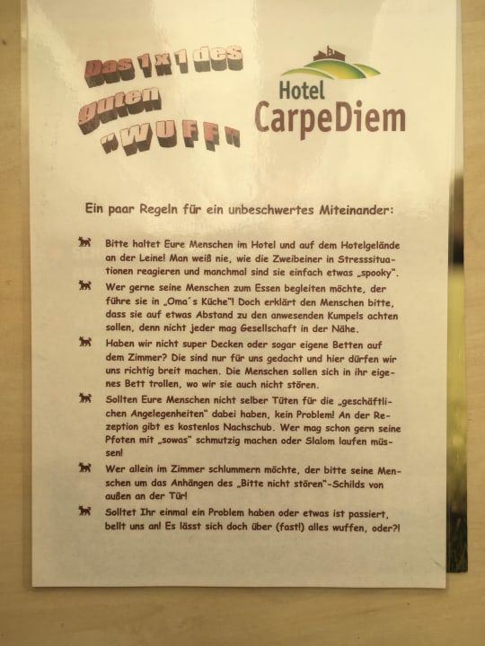 Hundeverhaltensregeln Hotel Carpe Diem