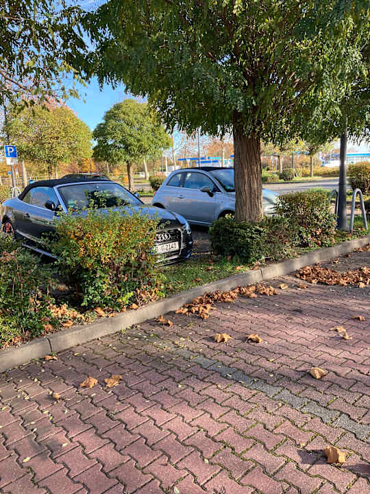 Außenansicht Best Western Parkhotel Brehna - Halle