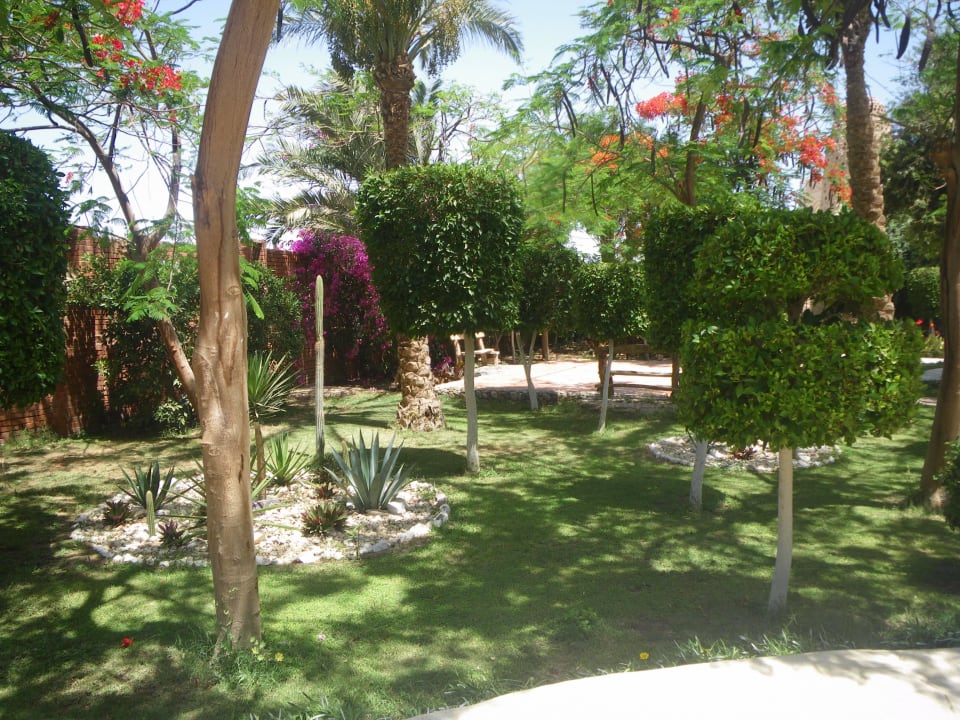 Bestimmt ein lieblingsplatz für viele Shams Alam Beach Resort