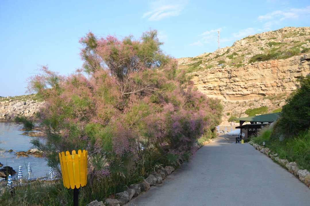 Plaża Hotel Kalithea Horizon Royal