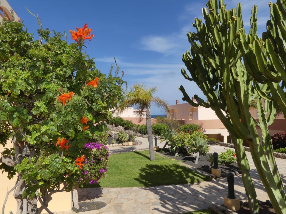 Toll gepflegt. H10 Playa Esmeralda - Adults only