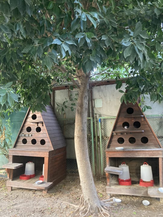 Gartenanlage Hotel Gardenia Beach