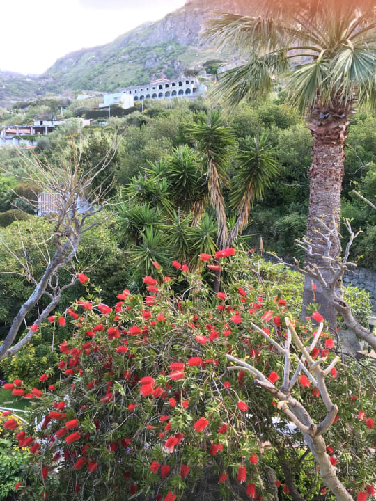 Treppenabgang Seitentür Hotel Paradiso Terme Resort & SPA