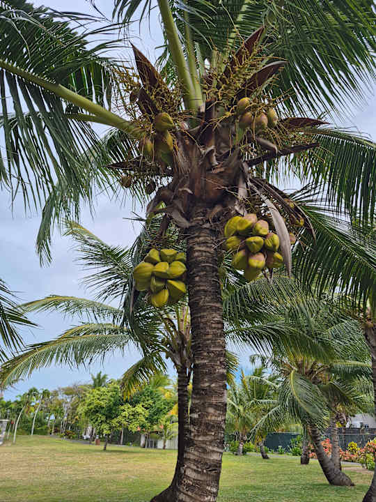 Außenansicht Crystals Beach Resort Belle Mare, a member of Radisson Individuals