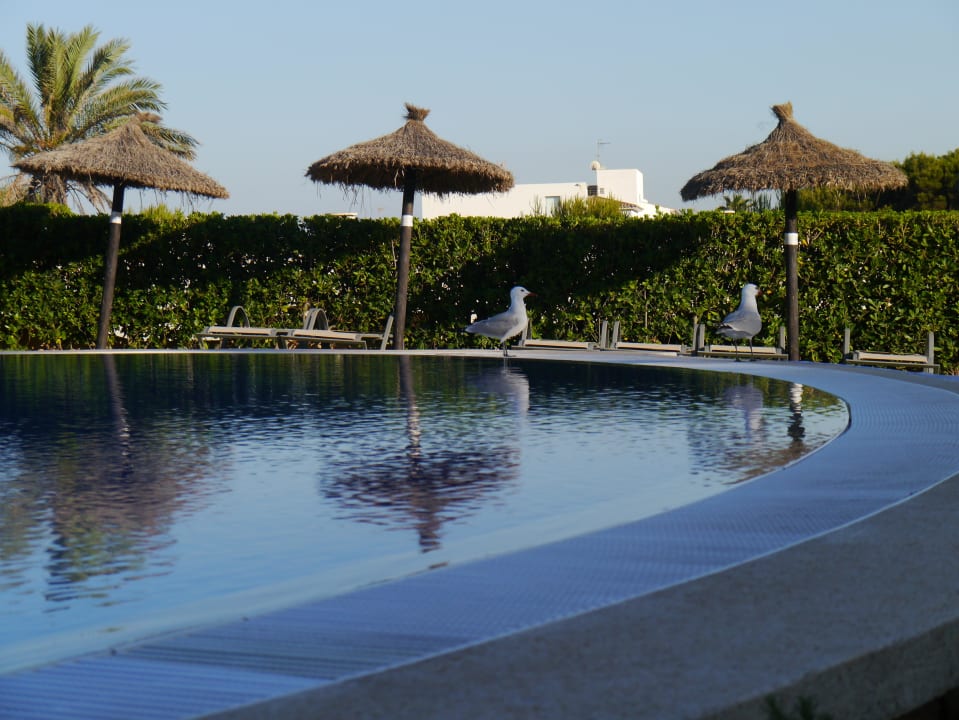 Abendstimmung Grupotel Natura Playa