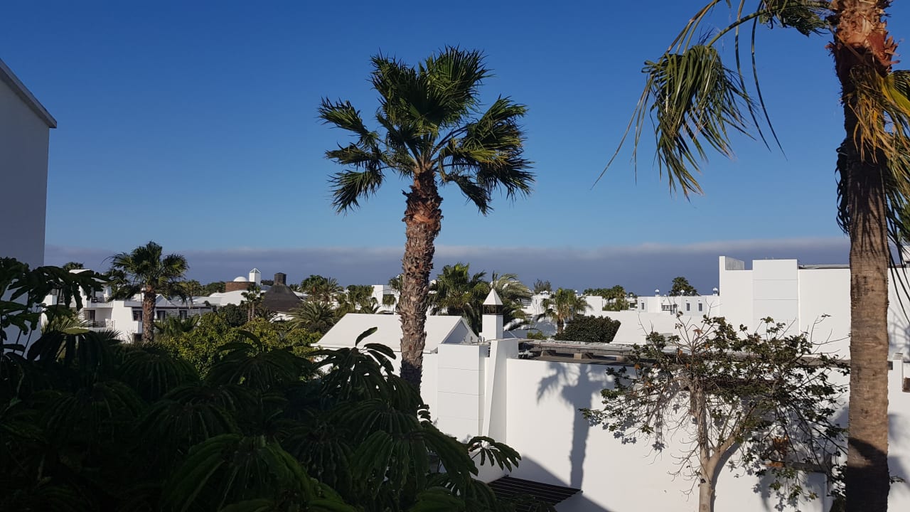 Ausblick allsun App.-Hotel Albatros