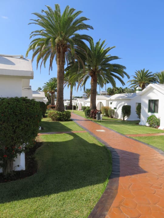 Anlage Canary Garden Club