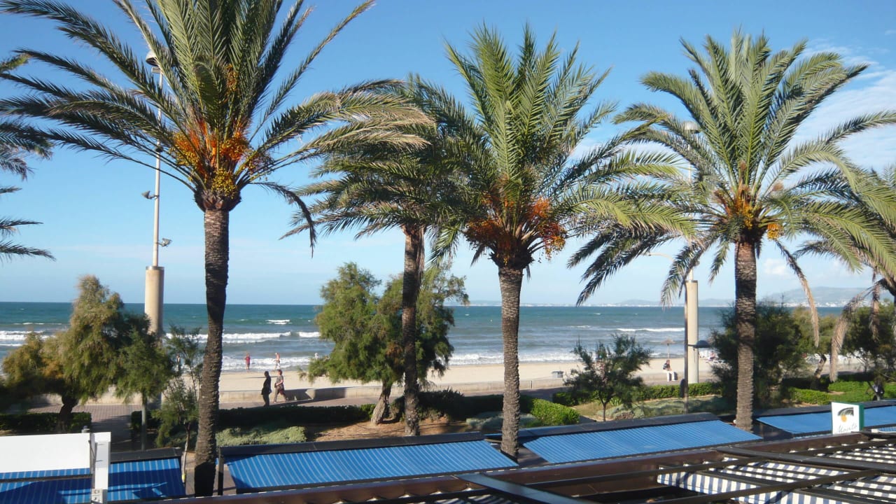 Von der oberen Terrasse zum Meer geknipst  Iberostar Waves Bahia de Palma