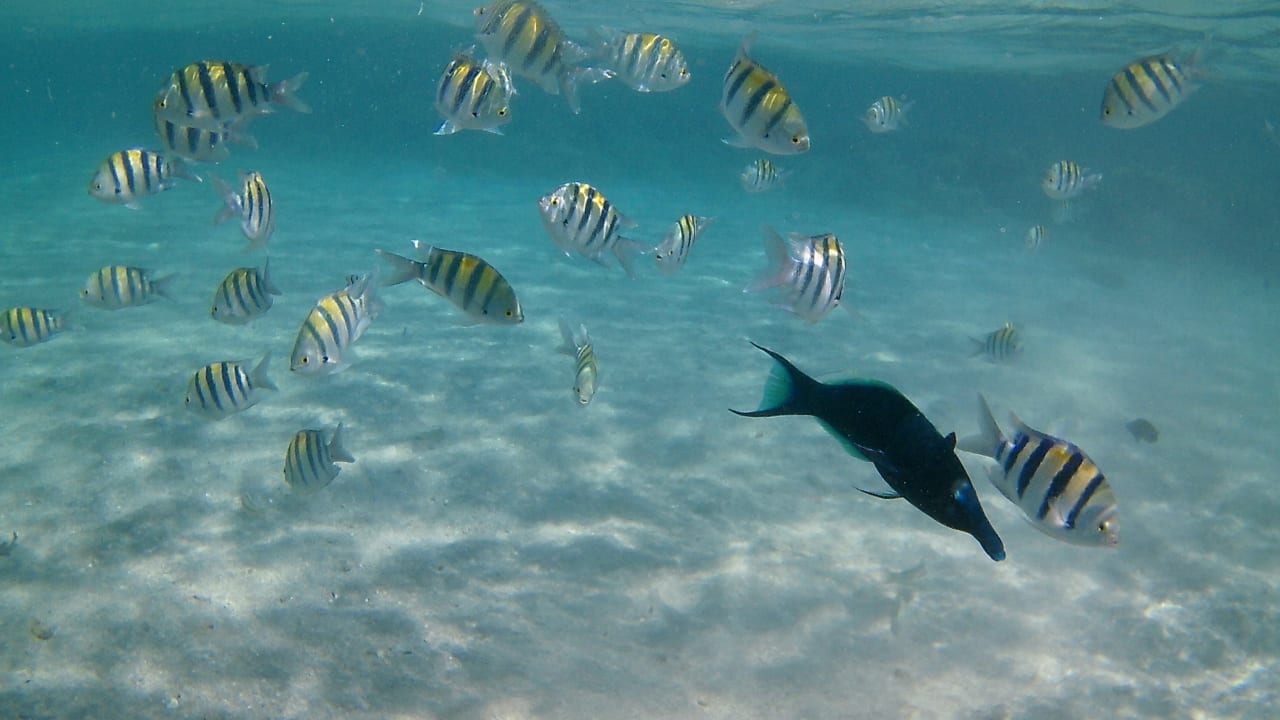 Sport & Freizeit Baron Palace Sahl Hasheesh