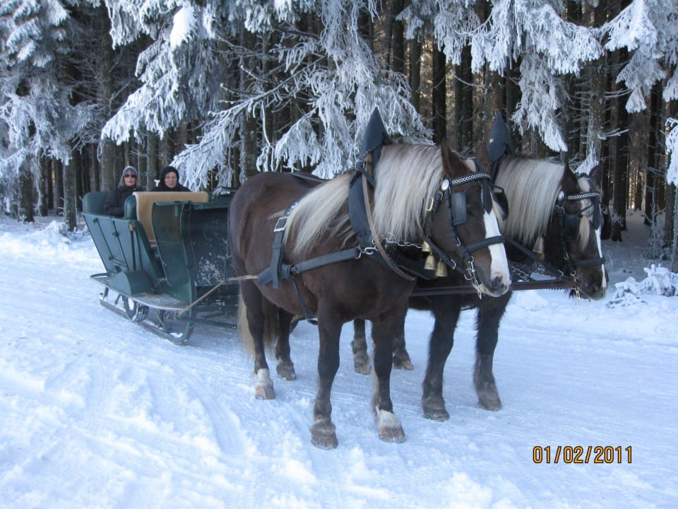 Fahrt mit der Pferdekutsche Hotel Oberwiesenhof