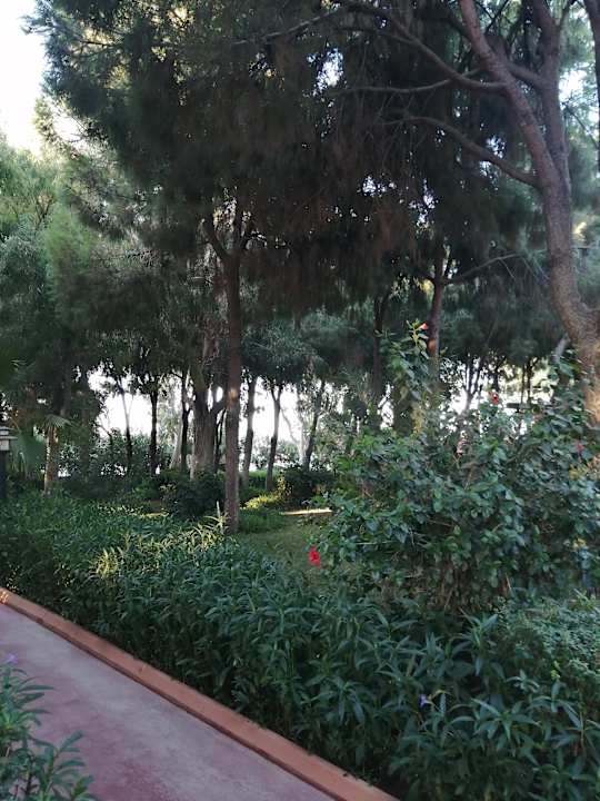 Gartenanlage Club Turtas Beach Hotel