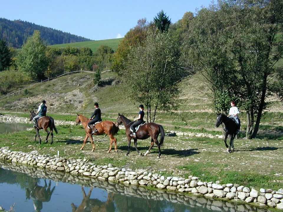 Hotel Ajax Horse Farm Hotel Partizan