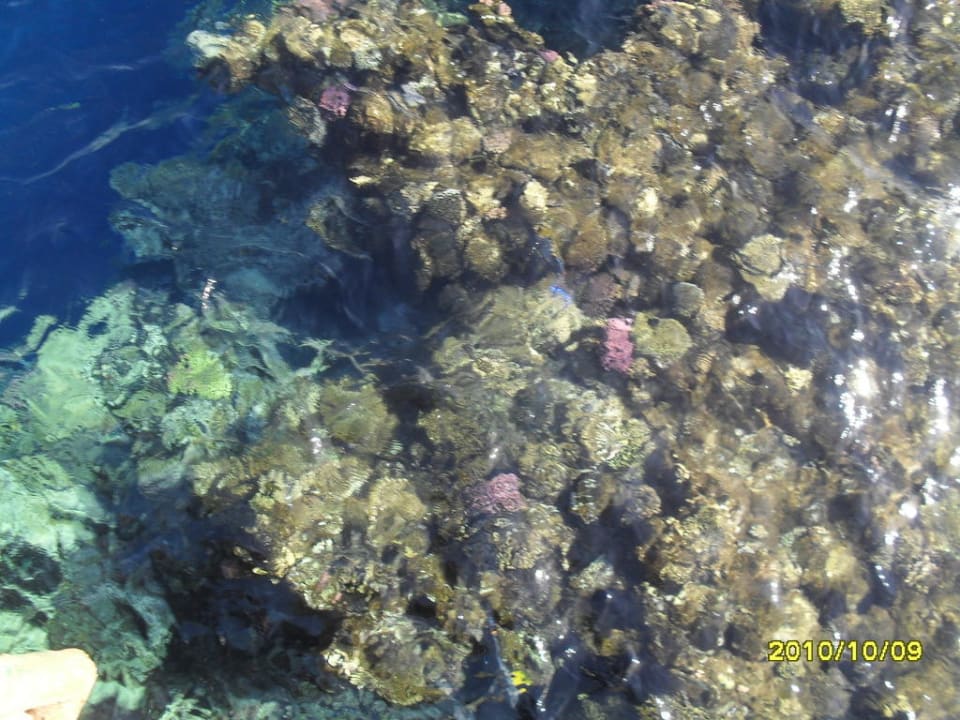 Rafka Hotel Nubian Village