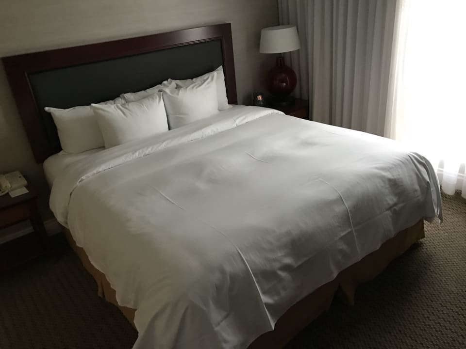 Zimmer Hotel Hilton Vancouver Airport