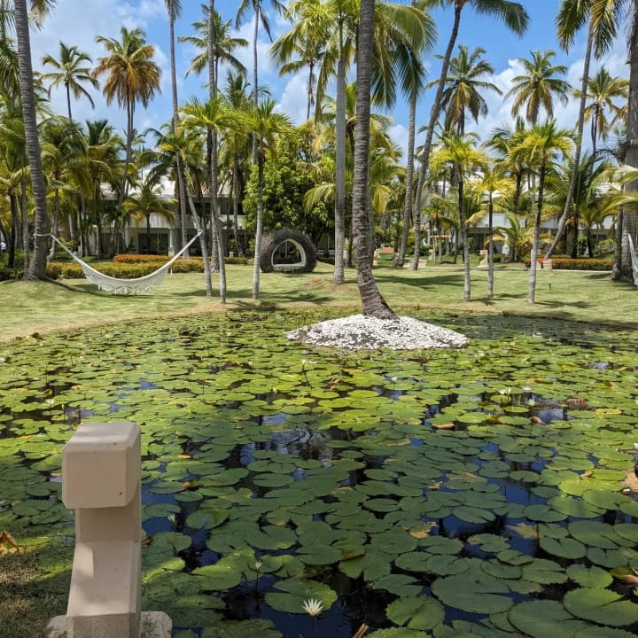 Gartenanlage Meliá Punta Cana Beach Resort - A Wellness Inclusive For Adults Only