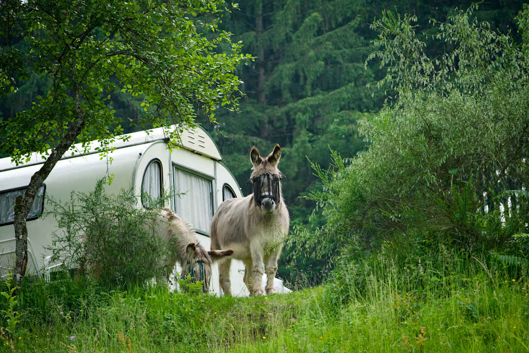 Ausblick S'Fleckli Bioland Ferienbauernhof
