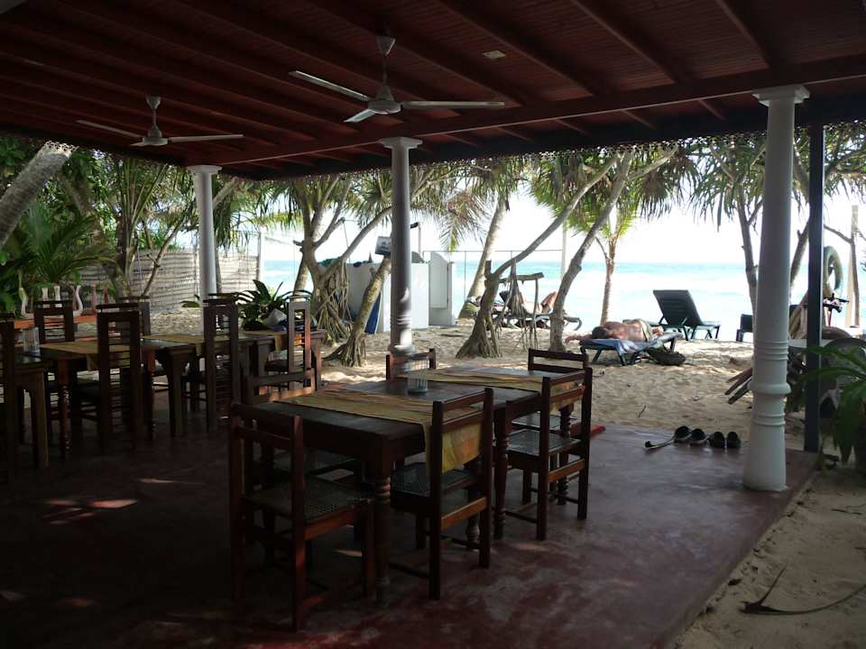 3 Hotel Haus am Meer Wilde Ananas