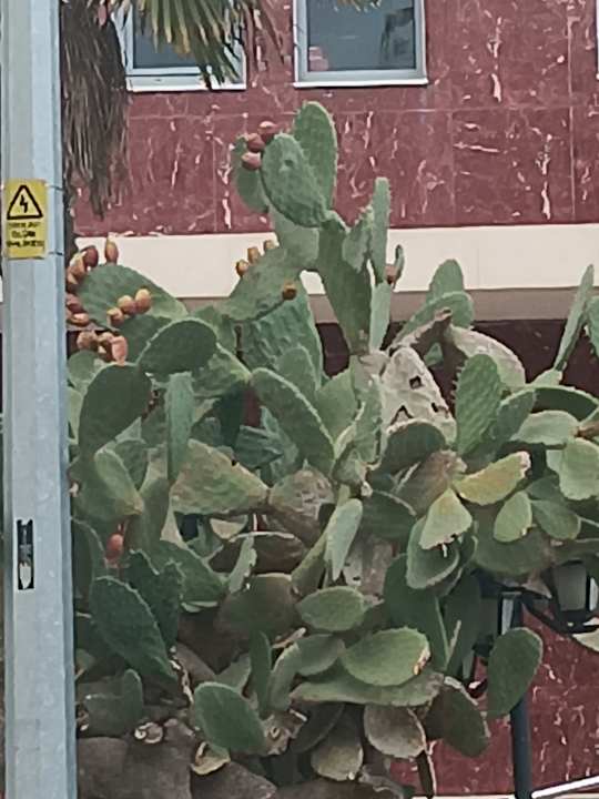 Sonstiges Hotel Ephesia