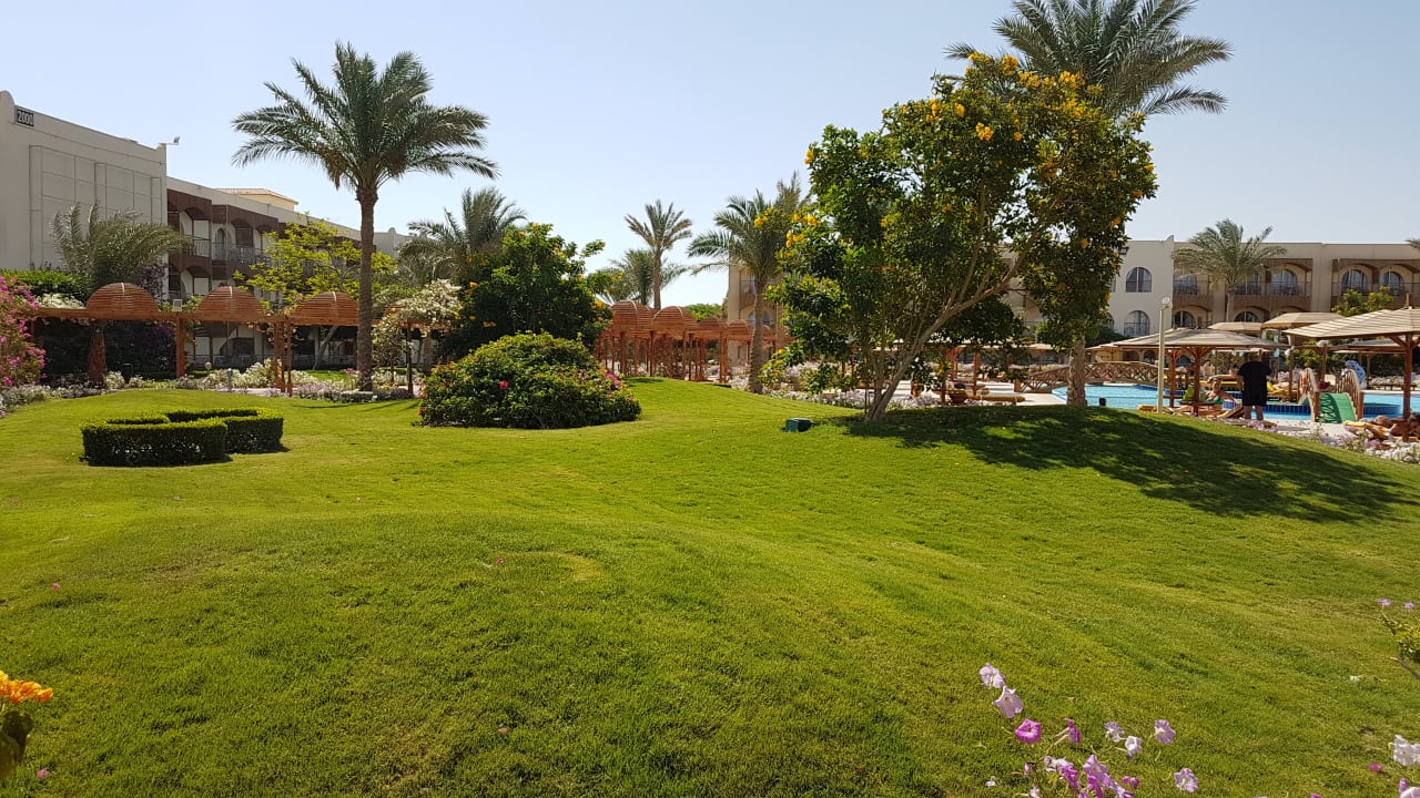 Gartenanlage Desert Rose