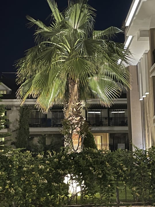 Gartenanlage Hotel Turan Prince