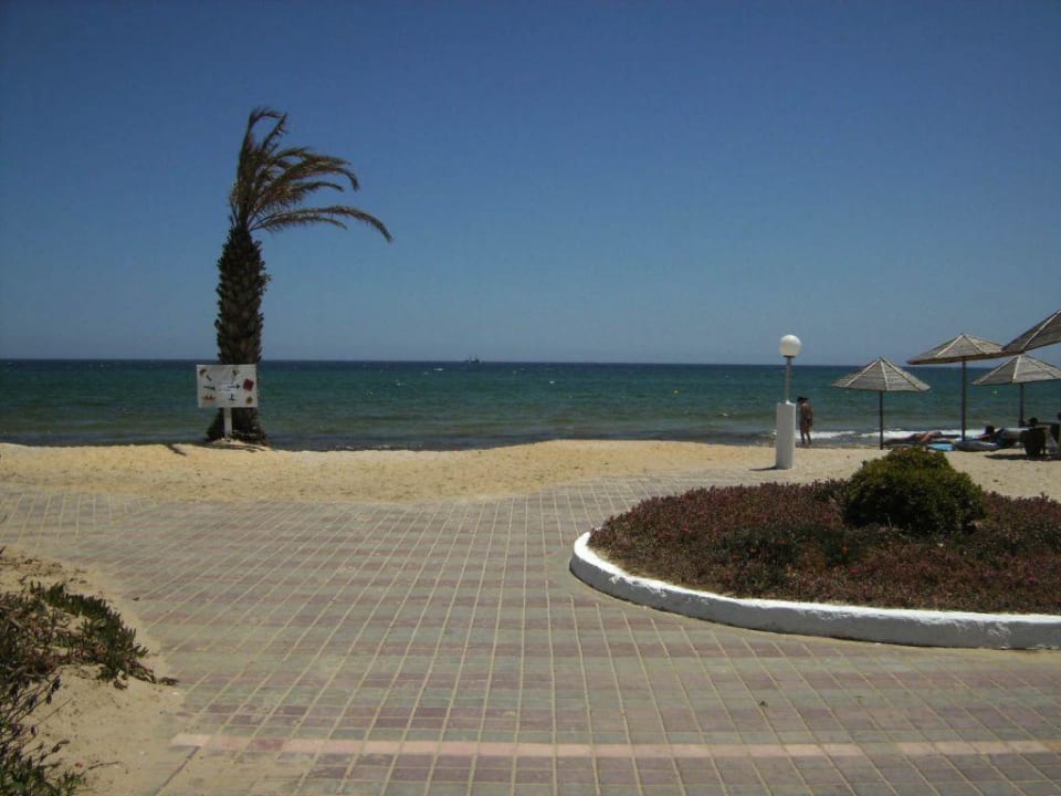 Weg zum Strand! Royal Lido Resort & Spa