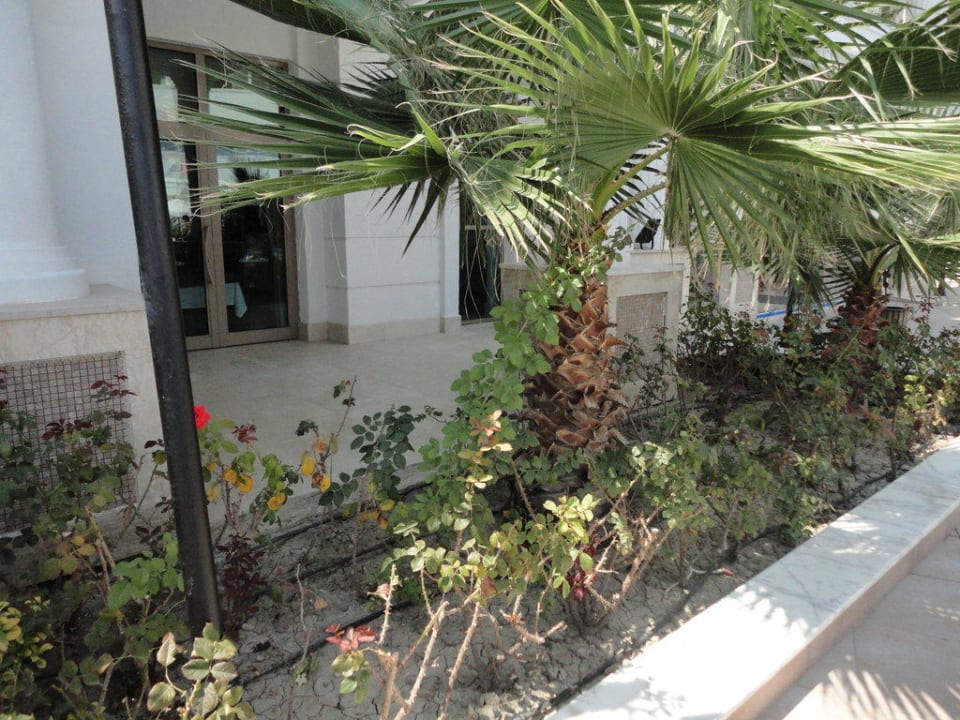 Alba Queen Alba Queen Hotel