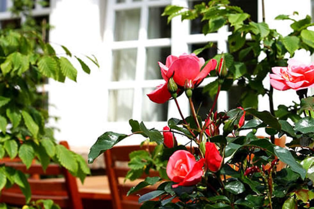 Gartenanlage Hotel Meerlust Spiekeroog