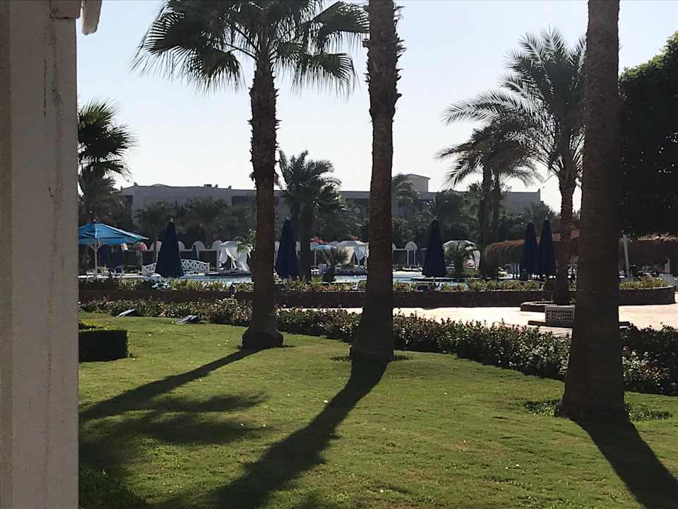 Ausblick Desert Rose