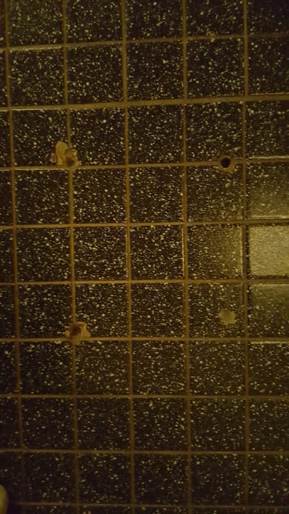 Die Löcher im Badezimmerboden Gasthof Brücke