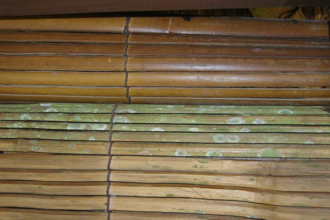 Schimmel im Luxushotel, das ist übel Hotel Hanging Gardens of Bali