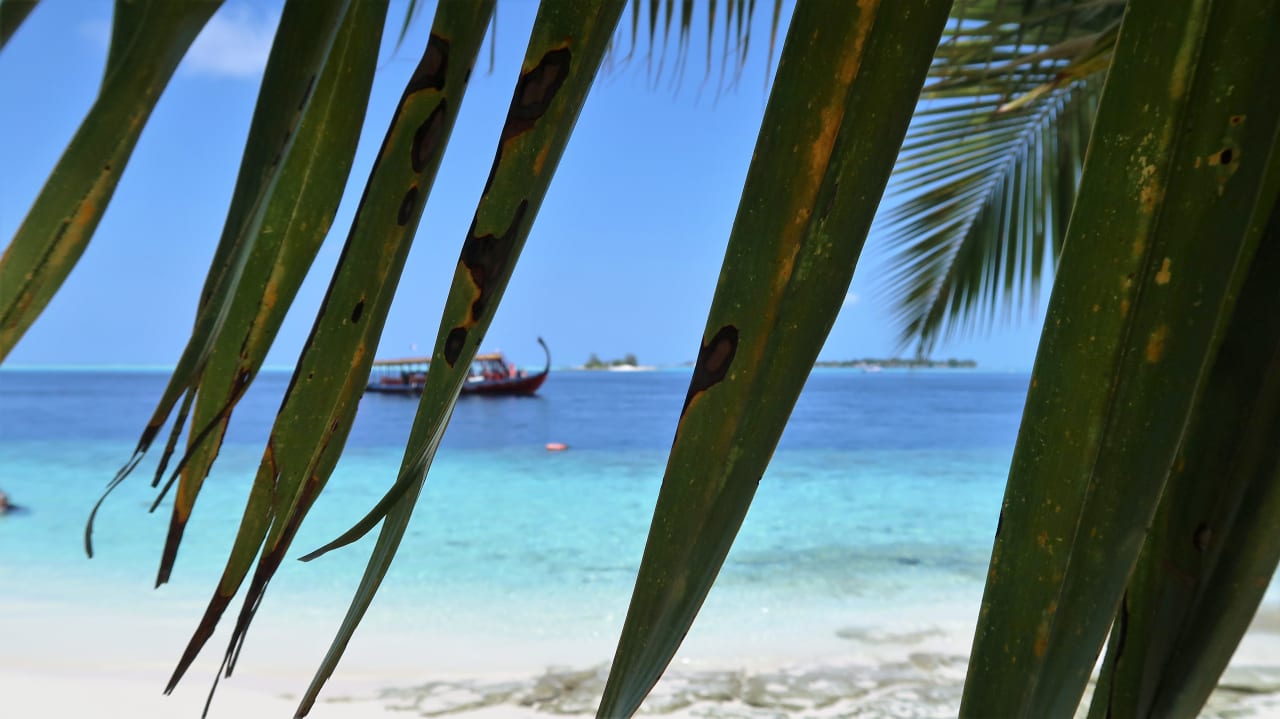 Strand Vilamendhoo Island Resort & Spa