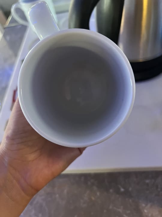 Zimmer Royal Seginus