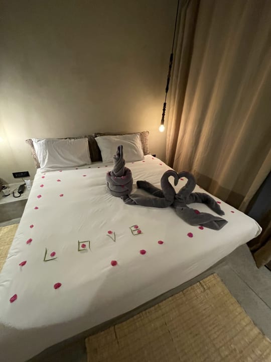 Zimmer Cook's Club El Gouna