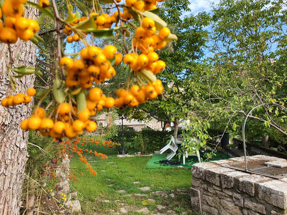 Ausblick Pension La Maison Du Pont