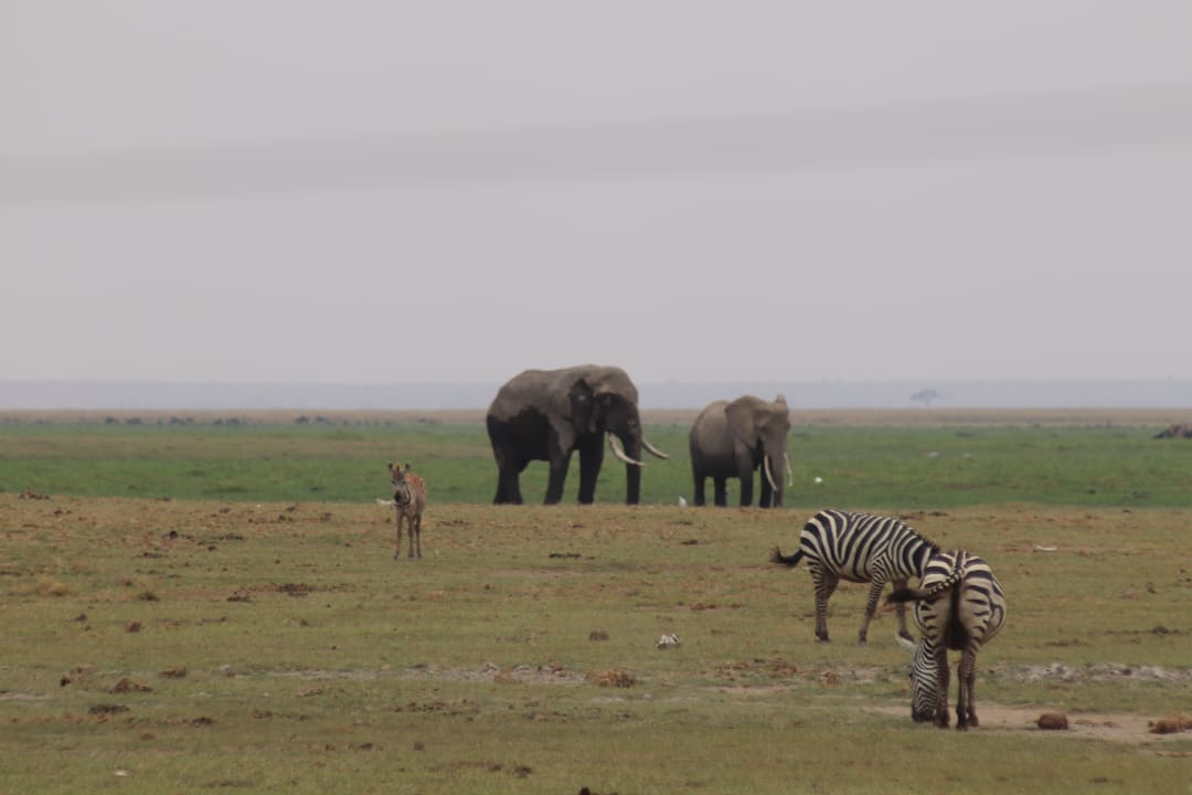 Ausblick Ol Tukai Lodge