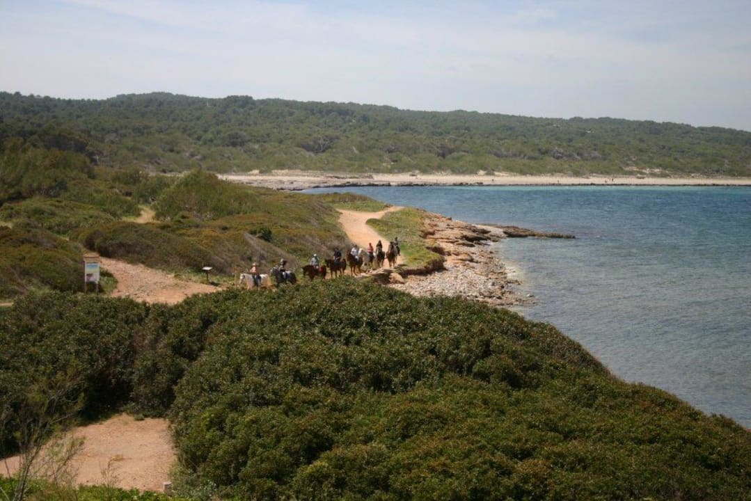 Vue de la chambre - Excursion à cheval Es Blau des Nord