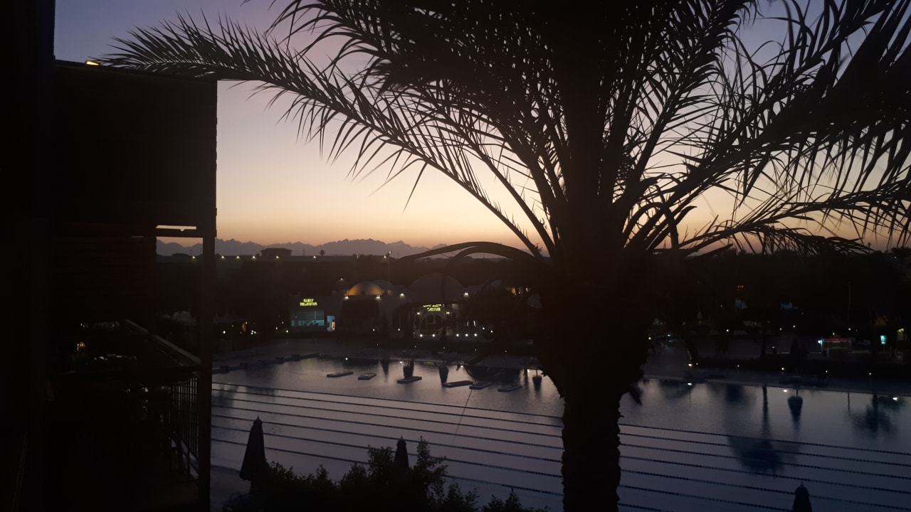 Ausblick Desert Rose