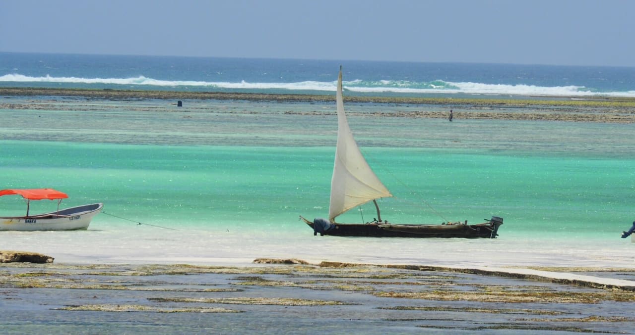 Ausblick Karafuu Beach Resort & Spa